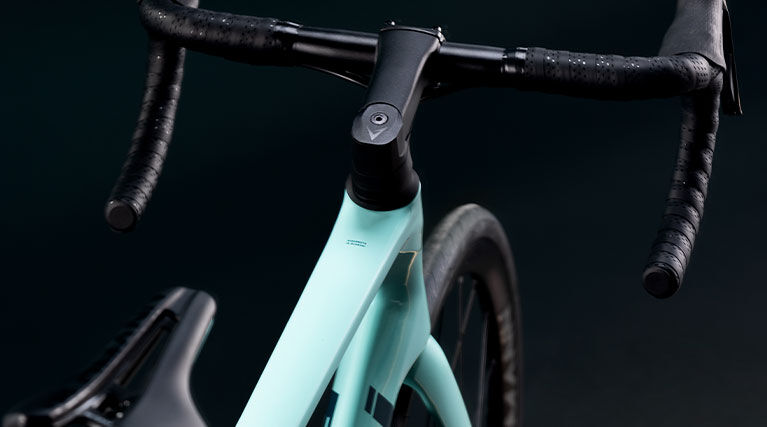 Rahmen vom Bianchi Infinito