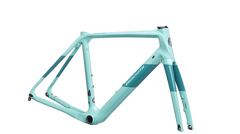 Rahmen vom Bianchi Infinito