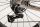 Avona Callis, SRAM Force XPLR 13s, Rose