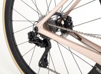 HARO Rivette Carbon Top Shelf - Gloss Rose / Gold