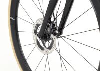 HARO Rivette Carbon Top Shelf - Gloss Rose / Gold