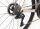 HARO Rivette Carbon Top Shelf - Gloss Rose / Gold
