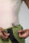 Bobik Backroom BASE LAYER SECOND SKIN HERREN IRIE