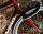 Cervelo R5 mit Sram Red eTap AXS, Oxblood
