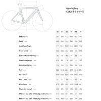 Cervelo P-Series, Shimano Ultegra Di2, Deep Dahlia