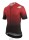 Assos EQUIPE RS Jersey S9 TARGA black\L