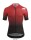 Assos EQUIPE RS Jersey S9 TARGA black\L
