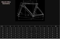 Bianchi Oltre Carbon, Shimano Ultegra Di2, Dark Grey 53 cm