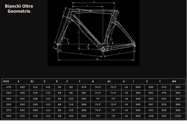 Bianchi size chart deals