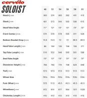 Cervelo Soloist, GOLD DUST, SRAM Rival eTap AXS 48