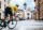 Cervelo CALEDONIA-5, OASIS, Shimano Dura-Ace Di2 R9270 48