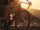Cervelo Aspero 5, SRAM Force XPLR eTap AXS, Five Black 51 cm